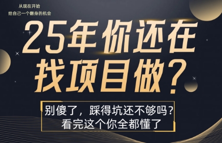 25年，你还在疯狂的找项目吗？别傻了，看完这个你都懂了【揭秘】-59网创