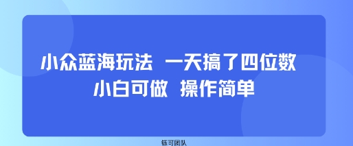 小众蓝海玩法 一天搞了四位数 小白可做 操作简单-59网创