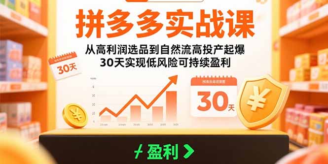拼多多实战课：从高利润选品到自然流高投产起爆 30天实现低风险可持续盈利-59网创
