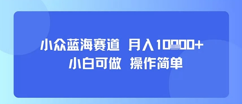 小众蓝海赛道,小白可做,操作简单,每天30分钟,月入1W+-59网创