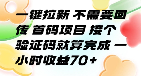 一键拉新 不需要回传 首码项目 接个验证码就算完成 一小时收益70+【揭秘】-59网创