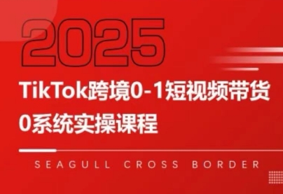 大亿老师·TikTok跨境0-1短视频带货-59网创