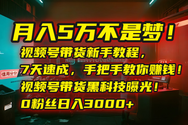 月入5万不是梦!视频号带货新手教程,7天速成,手把手教你赚钱!视频号...-59网创