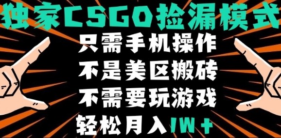 CSGO自动捡漏项目,最新独家玩法,不是美区搬砖,不需要了解和玩游戏,新手小白轻松月入1W+【揭秘】-59网创