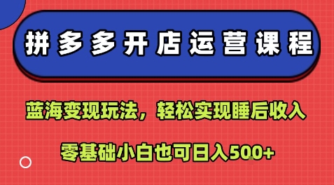 拼多多开店运营课程：蓝海变现玩法，轻松实现睡后收入，零基础小白也可日入5张-59网创