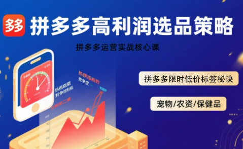 久号老师·拼多多选品暴利技术实战课-59网创