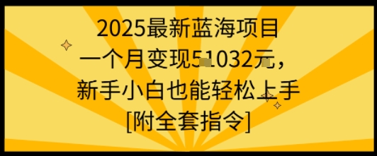 2025最新蓝海项目一个月变现1w+新手小白也能轻松上手【附全套指令】-59网创