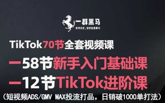 TikTok全套视频课,新手入门+进阶课,短视频ADS-GMV MAX投流打品,日销破1000单打法-59网创
