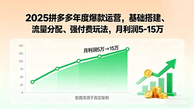 2025拼多多年度爆款运营，基础搭建、流量分配、强付费玩法，月利润5-15万-59网创