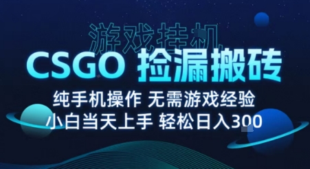8月最新游戏搬砖，CSGO纯挂G，不需要玩游戏，实现真挂G，月入1W+【揭秘】-59网创