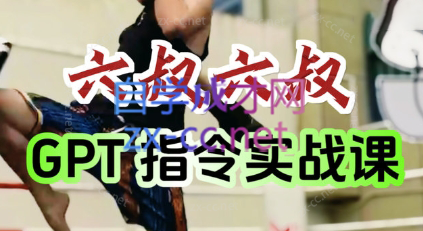 六叔的AI指令实战课(更新7月)-59网创