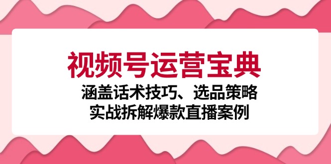 视频号运营宝典：涵盖话术技巧、选品策略、实战拆解爆款直播案例-59网创