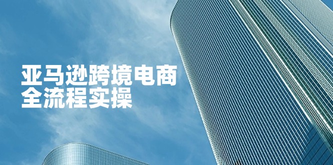 亚马逊跨境电商全流程实操，教你从零开始，掌握店铺运营与广告技巧-59网创