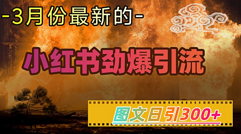 小红书超劲爆引流手段，图文日引300+轻松变现1W-59网创