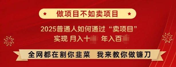 必看，做项目不如卖项目，2025普通人如何通过“卖项目”实现月入十个，年入百个-59网创