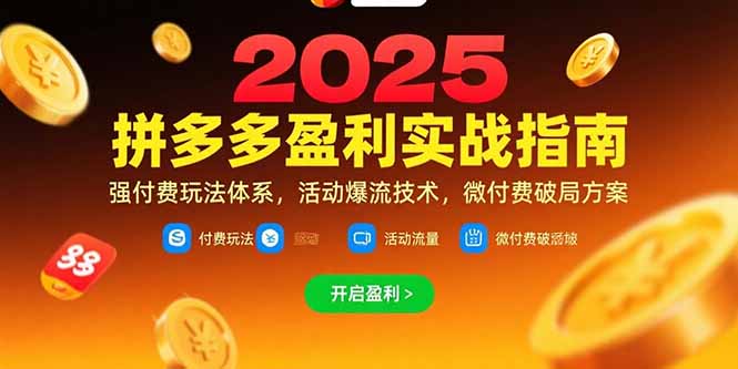 拼多多盈利实战指南，强付费玩法，活动爆流技术，微付费破局方案(更新7月-59网创