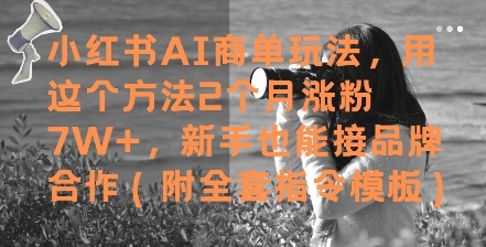 小红书AI商单玩法,用这个方法2个月涨粉7W+,新手也能接品牌合作(附全套指令模板)-59网创