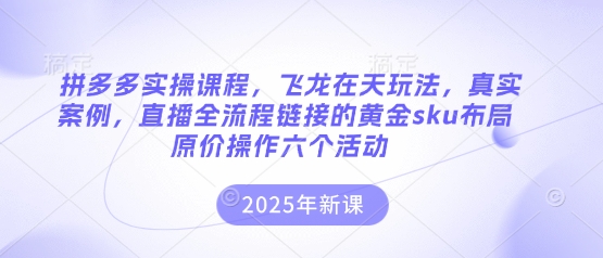 拼多多实操课程,飞龙在天玩法,真实案例,直播全流程链接的黄金sku布局原价操作六个活动-59网创