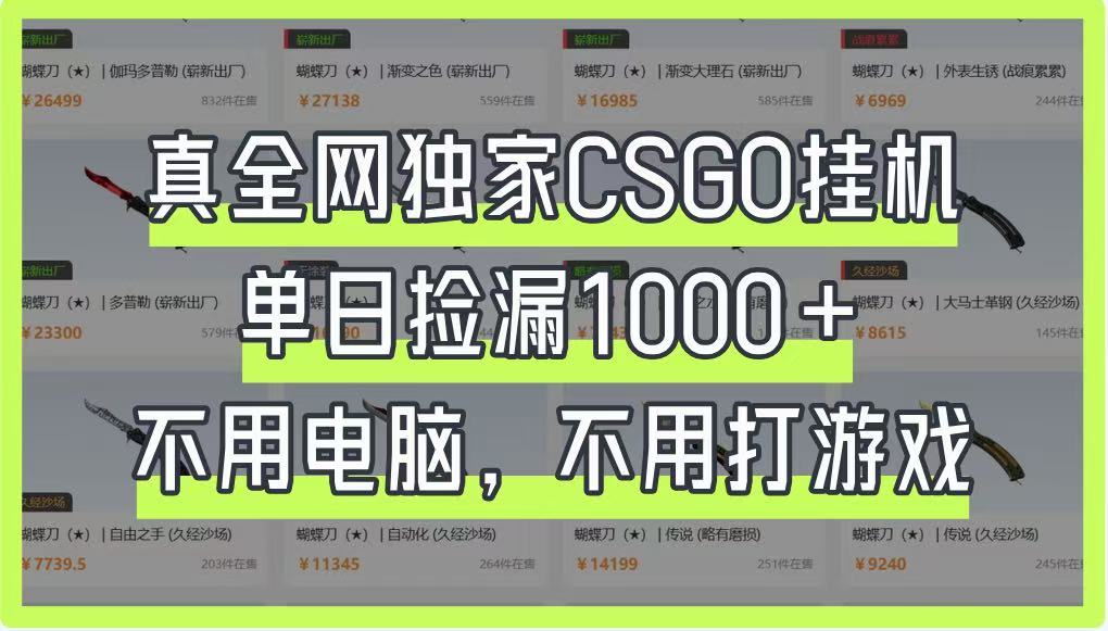 真全网独家CSGO挂机，单日捡漏1000+，不用电脑，不用养号-59网创