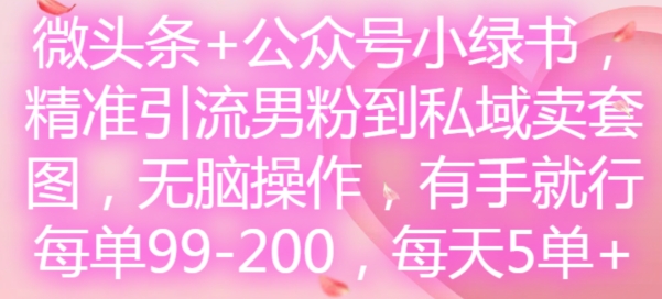 微头条+公众号小绿书,精准引流男粉到私域卖套图,无脑操作,有手就行,每单99-200,每天5单-59网创