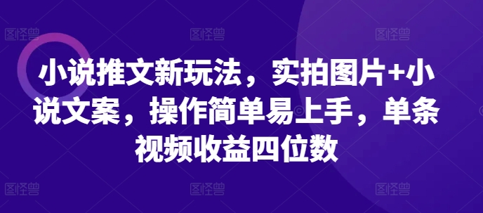 小说推文新玩法,实拍图片+小说文案,操作简单易上手,单条视频收益四位数-59网创