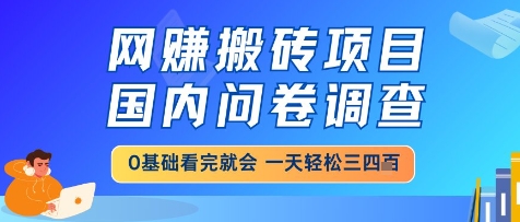 网创搬砖项目，国内问卷调查，小白轻松上手，一天三四张的也不难，干就完了【揭秘】-59网创