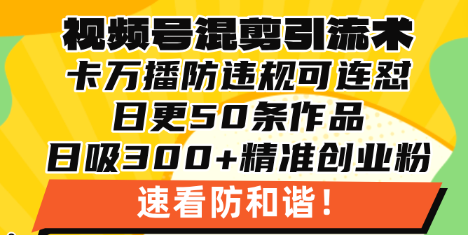 视频号混剪引流技术,500万播放引流17000创业粉,操作简单当天学会-59网创