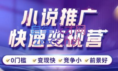 洲洲老师·小说推广快速变现营-59网创