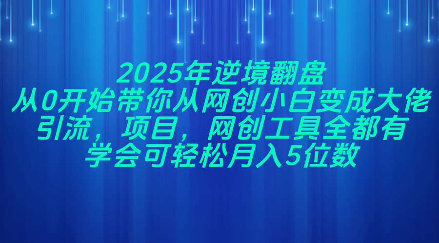 2025年逆境翻盘,从0开始带你从网创小白变成大佬,引流,项目,网创工...-59网创