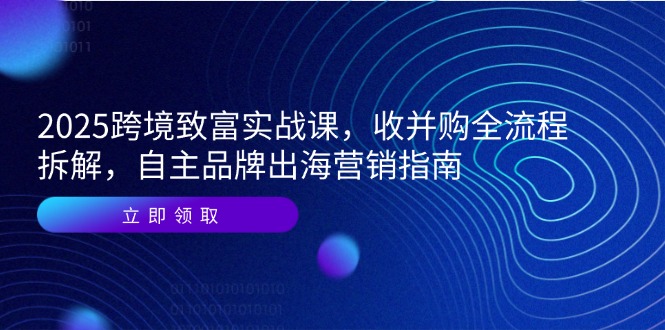 2025跨境致富实战课，收并购全流程拆解，自主品牌出海营销指南-59网创
