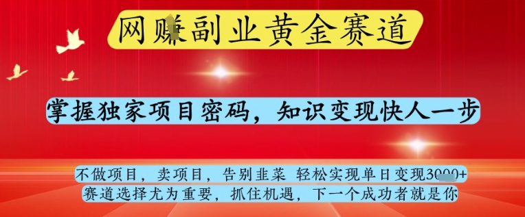 网创副业黄全赛道，掌握独家项目密码，知识变现快人一步，告别韭菜轻松实现单日变现1k+【揭秘】-59网创