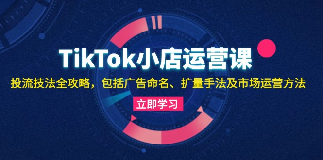 TikTok小店运营课：投流技法全攻略，包括广告命名 扩量手法及市场运营方法-59网创