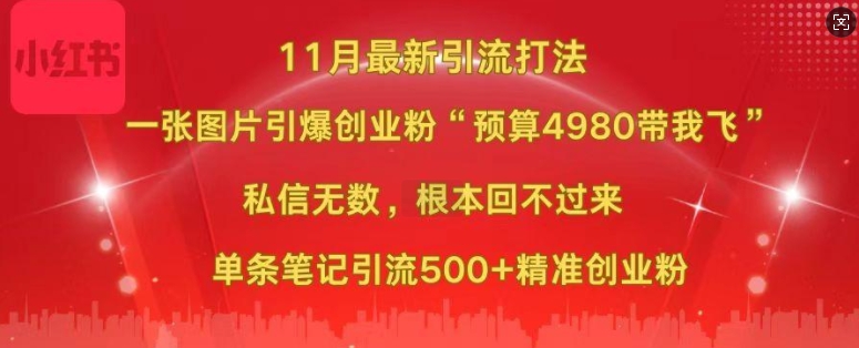 小红书11月最新图片打粉，一张图片引爆创业粉，“预算4980带我飞”，单条引流500+精准创业粉-59网创