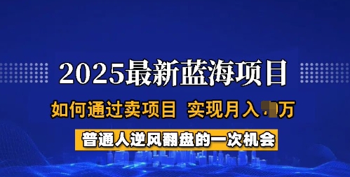 2025蓝海项目，普通人如何通过卖项目，实现月入过W，全过程【揭秘】-59网创