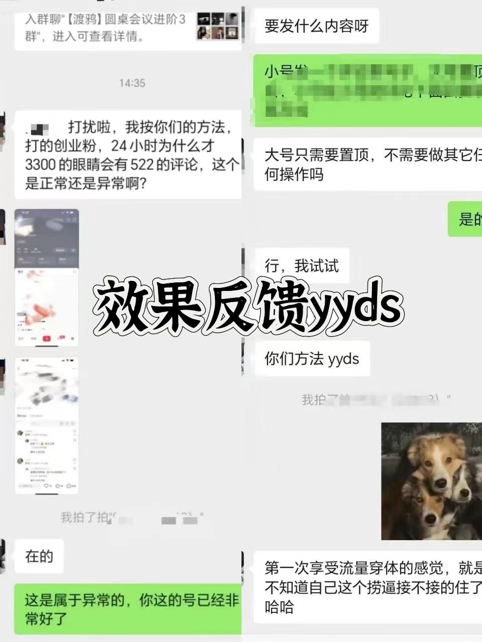 图片[3]-抖音小红书视频号全平台引流打法，全自动引流日引2000+精准客户-59网创