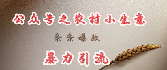 deepseek写农村小项目，条条爆款，暴力引流-59网创