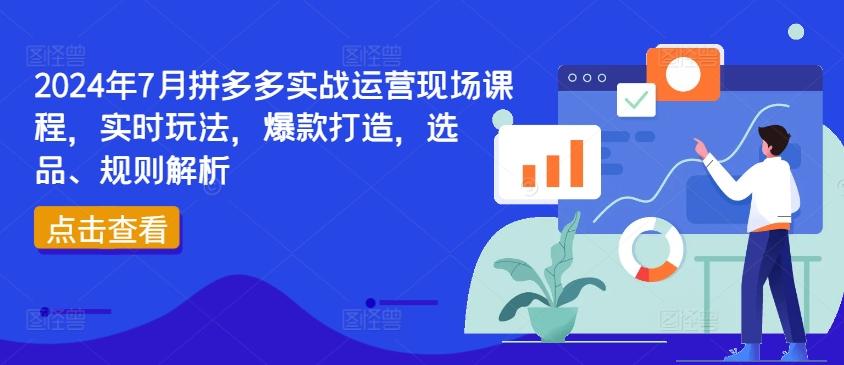 2024年7月拼多多实战运营现场课程,实时玩法,爆款打造,选品、规则解析-59网创