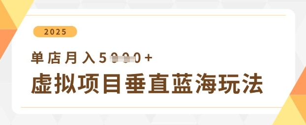 虚拟项目垂直玩法，实现单店月入5k+-59网创