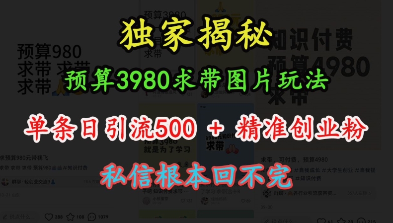 预算3980求带 图片玩法,单条日引流500+精准创业粉,私信根本回不完-59网创