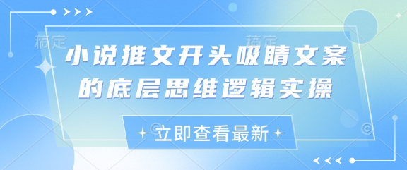 小说推文开头吸睛文案的底层思维逻辑实操-59网创