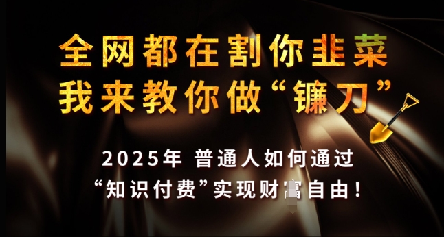 全网都在割你韭菜,我来教你做镰刀,2025年普通人如何通过 知识付费 实现财F自由【揭秘】-59网创