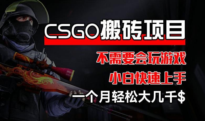 CSGO 装备搬砖项目,操作简单,不需要会玩游戏,小白也能快速上手,一个月轻松大几千【揭秘】-59网创