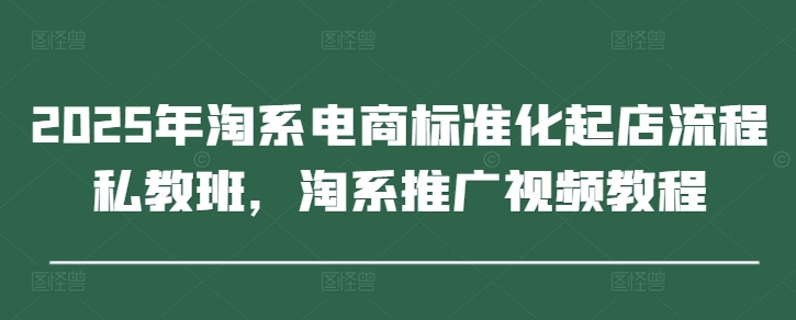 2025年淘系电商标准化起店流程私教班,淘系推广视频教程-59网创