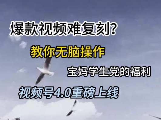 视频号4.0重磅上线，爆款视频难复刻？教你无脑操作宝妈学生党的福利【揭秘】-59网创