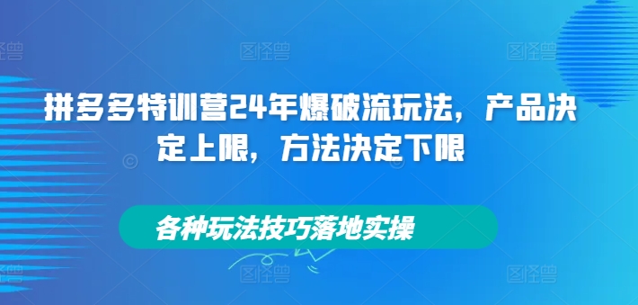 拼多多特训营24年爆破流玩法,产品决定上限,方法决定下限,各种玩法技巧落地实操-59网创