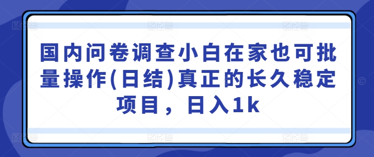 国内问卷调查小白在家也可批量操作(日结)真正的长久稳定项目，日入1k【揭秘】-59网创