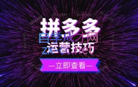 力辛电商·拼多多强付费店群玩法-59网创
