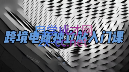 团长·跨境电商独立站入门课(2小时精华)-59网创