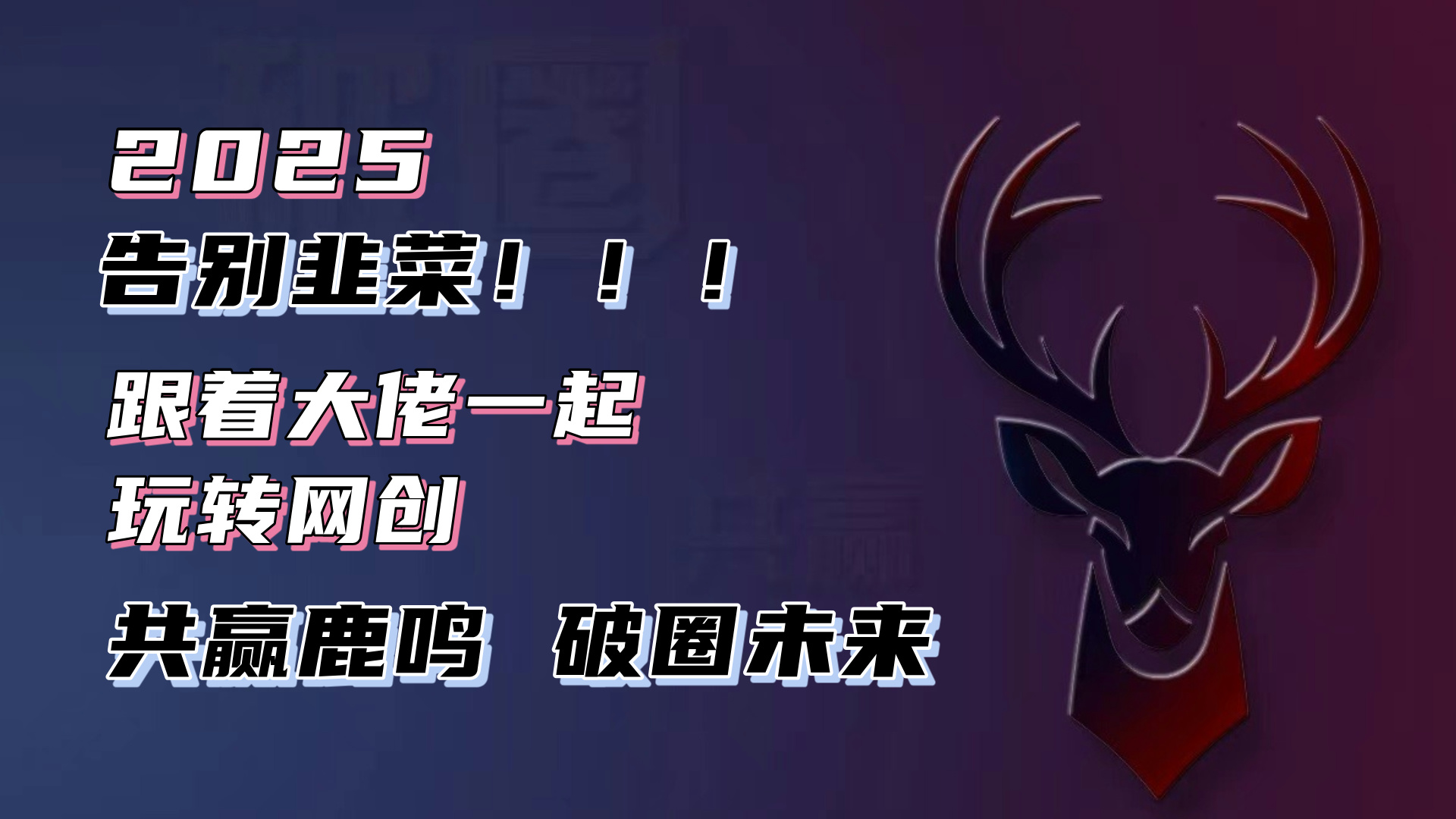 告别韭菜！2025知识付费风口项目，小白也能闭眼操作！-59网创