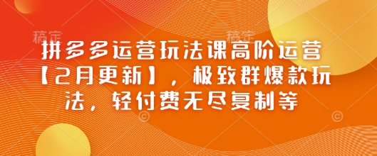 拼多多运营玩法课高阶运营【2月更新】，极致群爆款玩法，轻付费无尽复制等-59网创